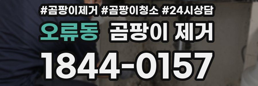 오류동 곰팡이 제거