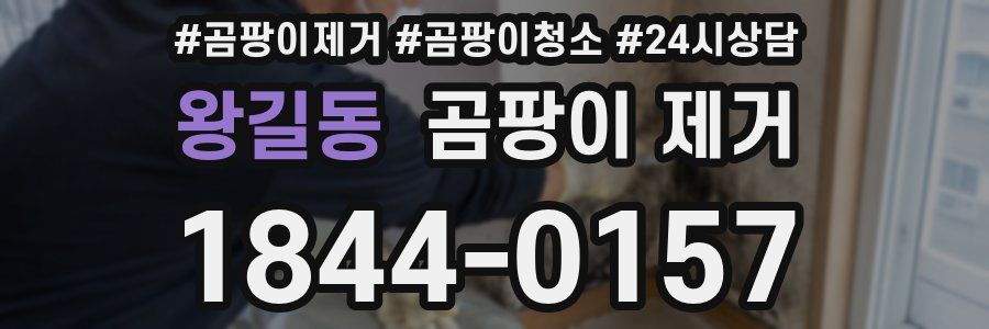 왕길동 곰팡이 제거