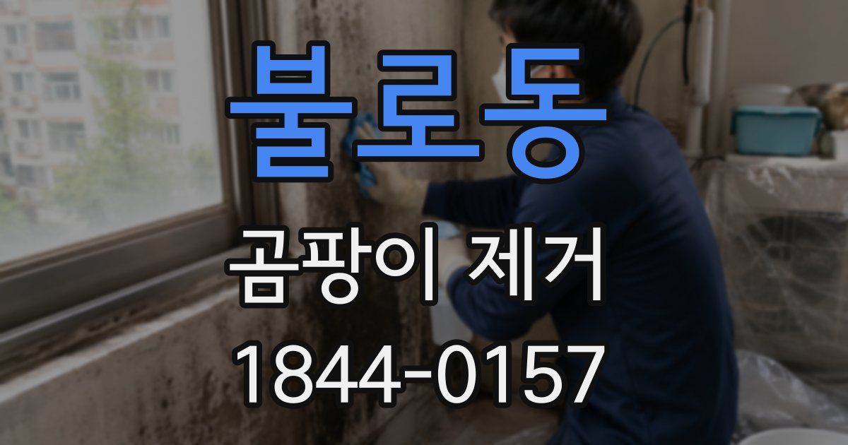 불로동 곰팡이 제거