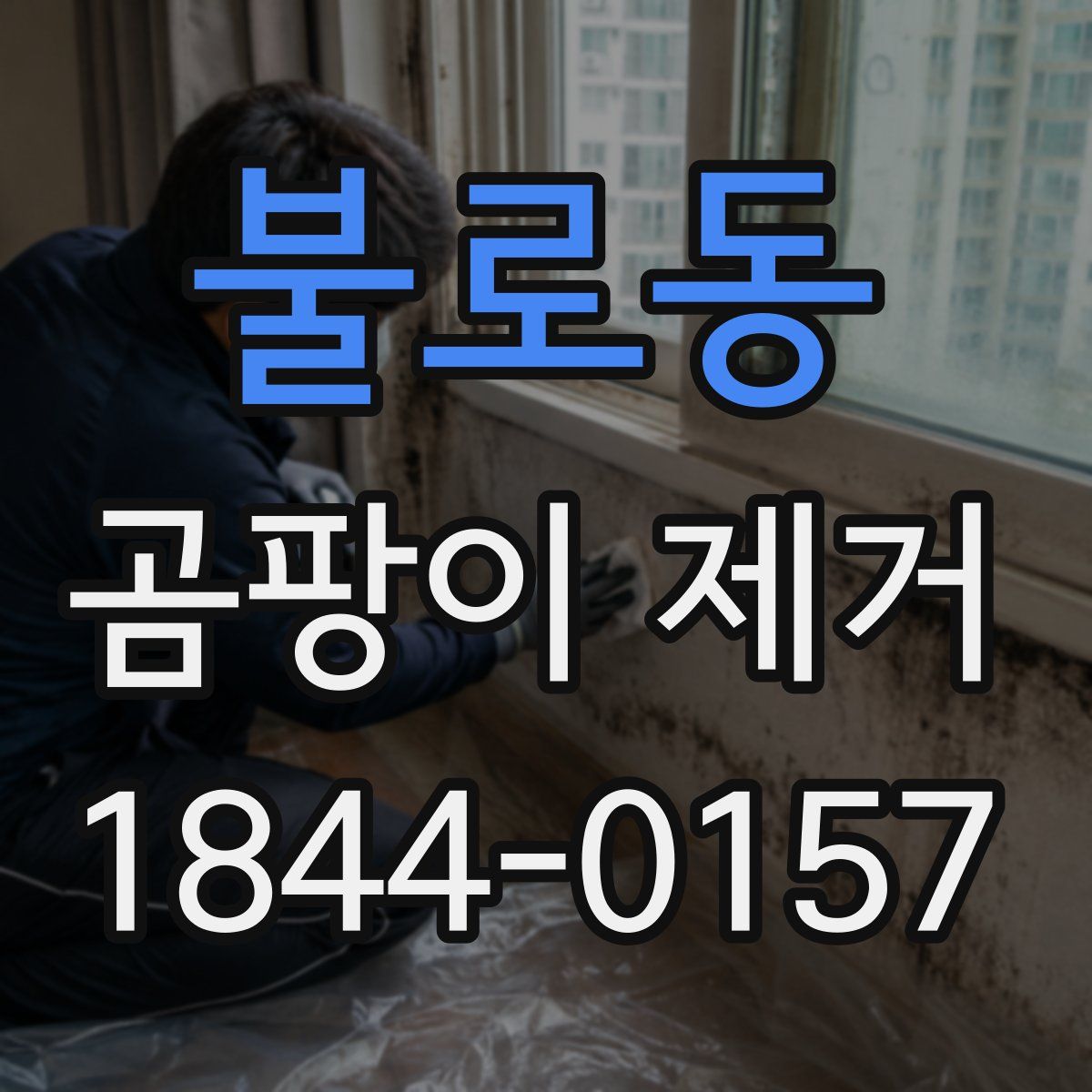 불로동 곰팡이 제거