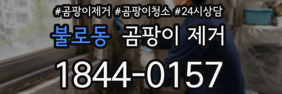 불로동 곰팡이 제거