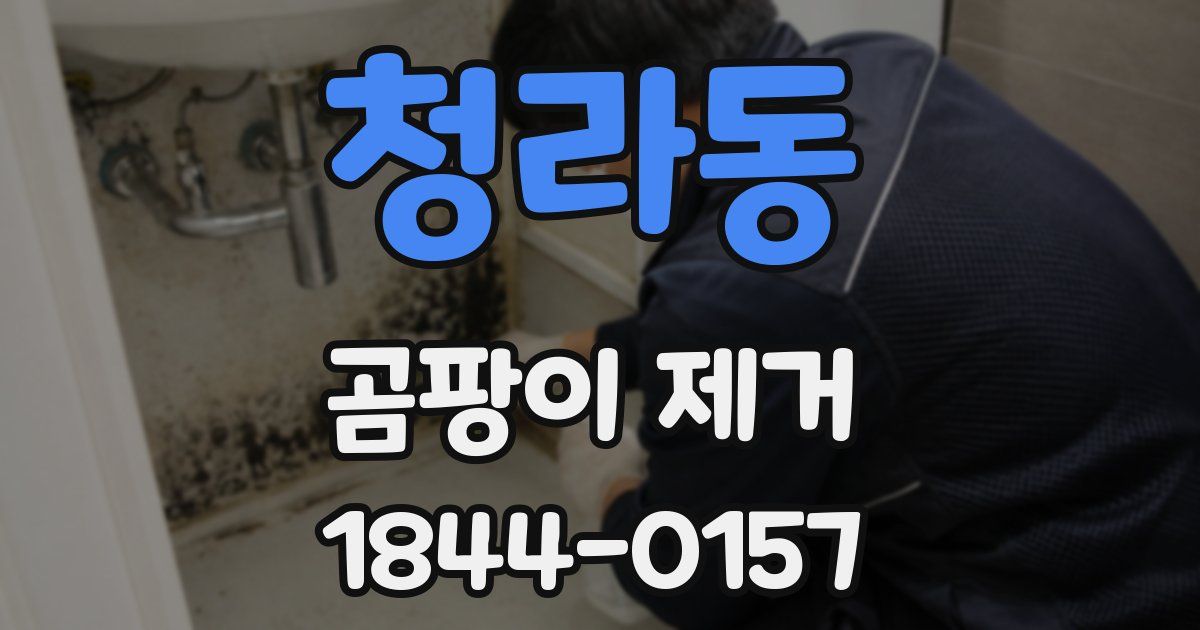 청라동 곰팡이 제거