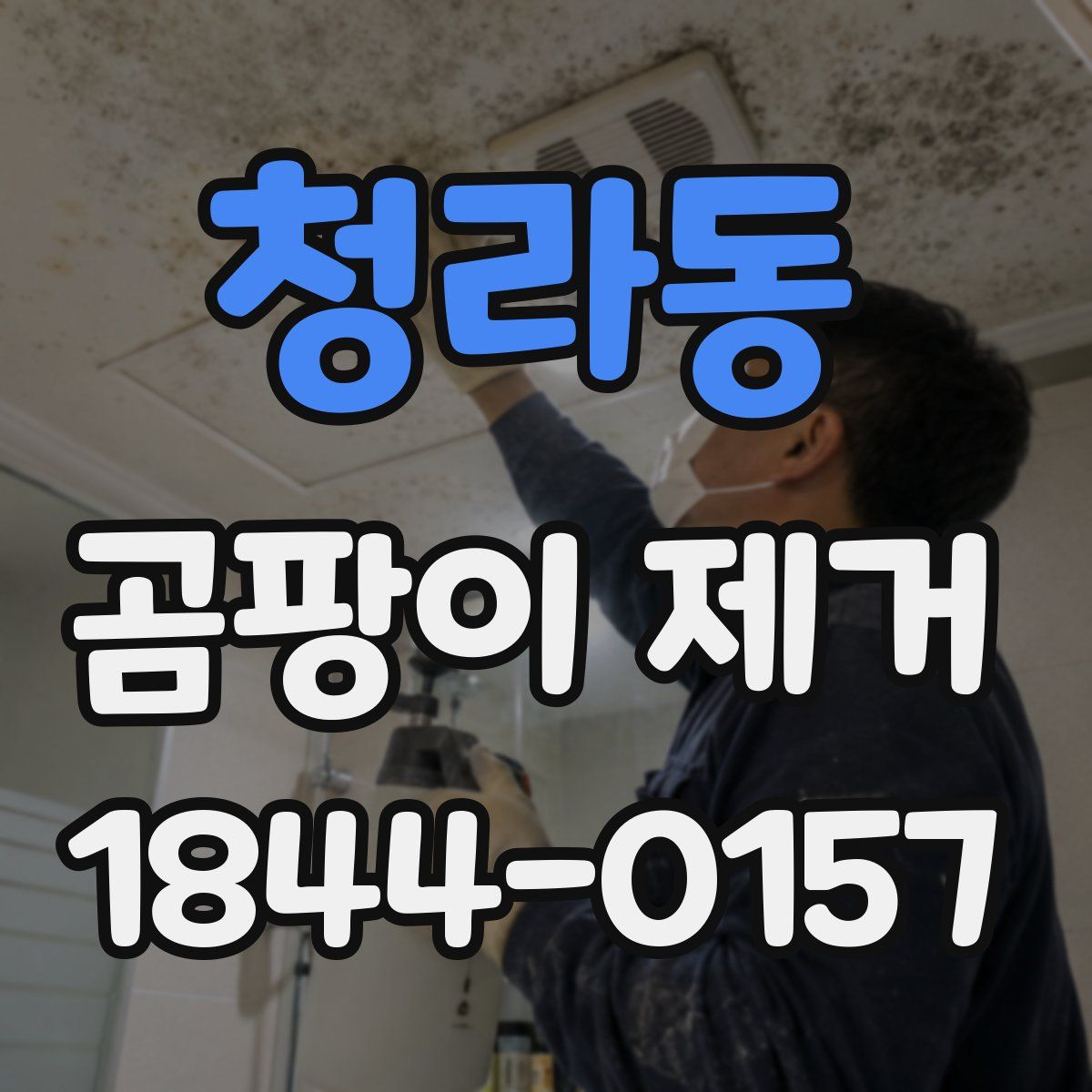 청라동 곰팡이 제거