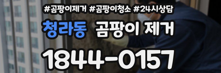 청라동 곰팡이 제거