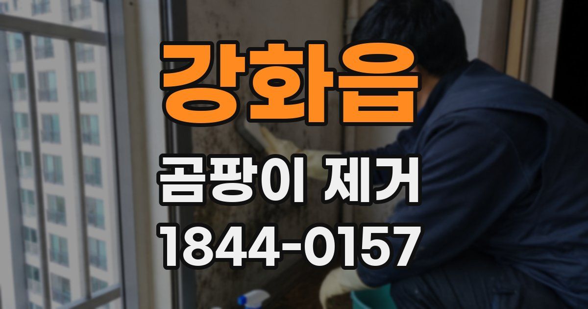 강화읍 곰팡이 제거