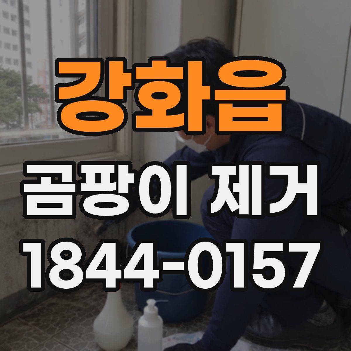 강화읍 곰팡이 제거