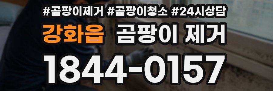 강화읍 곰팡이 제거