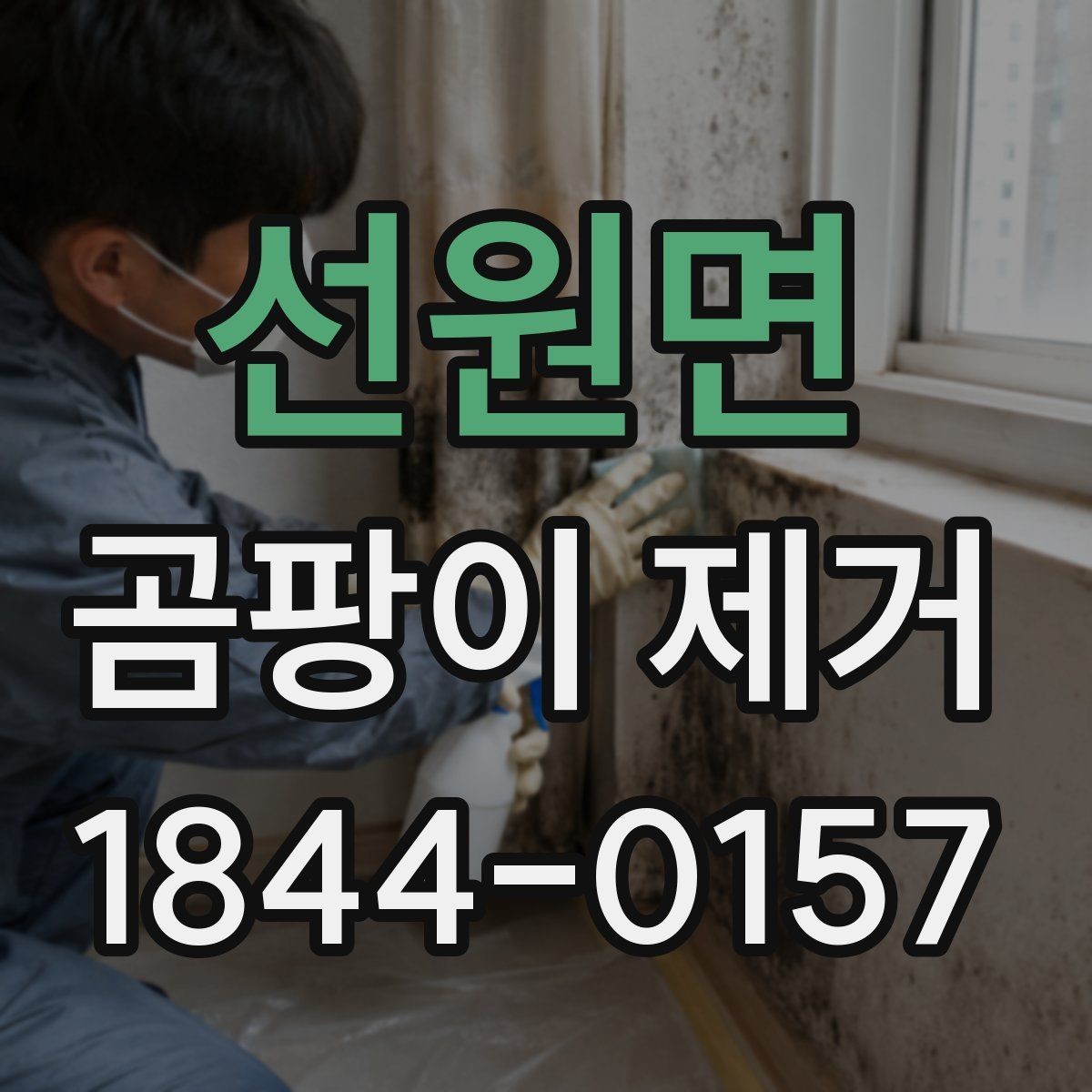 선원면 곰팡이 제거 전 사진으로 상태를 기록하는 이유