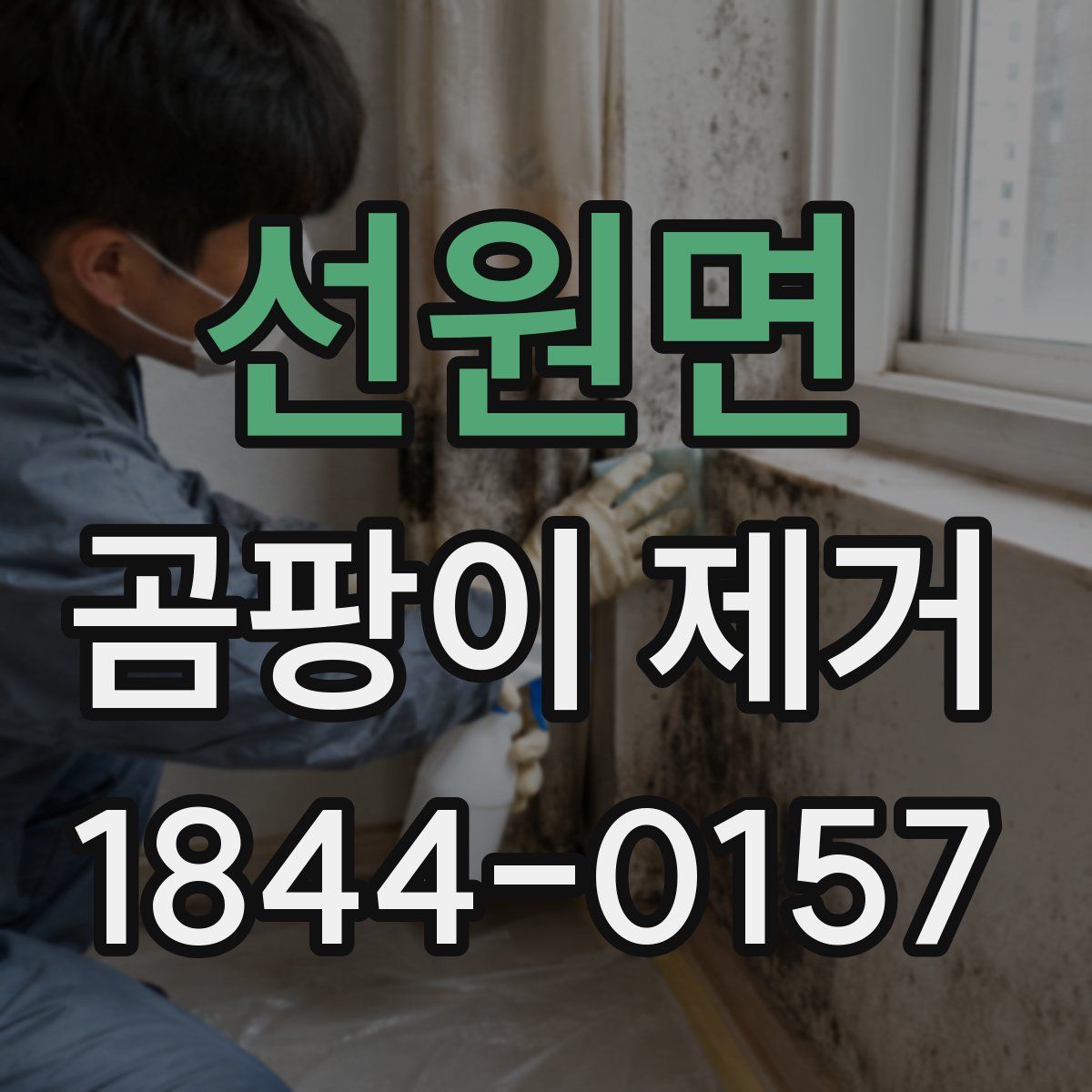 선원면 곰팡이 제거
