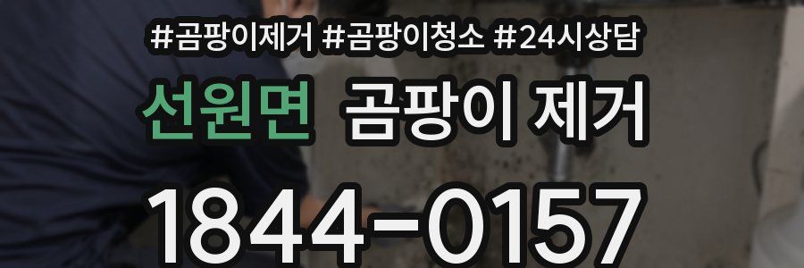 선원면 곰팡이 제거