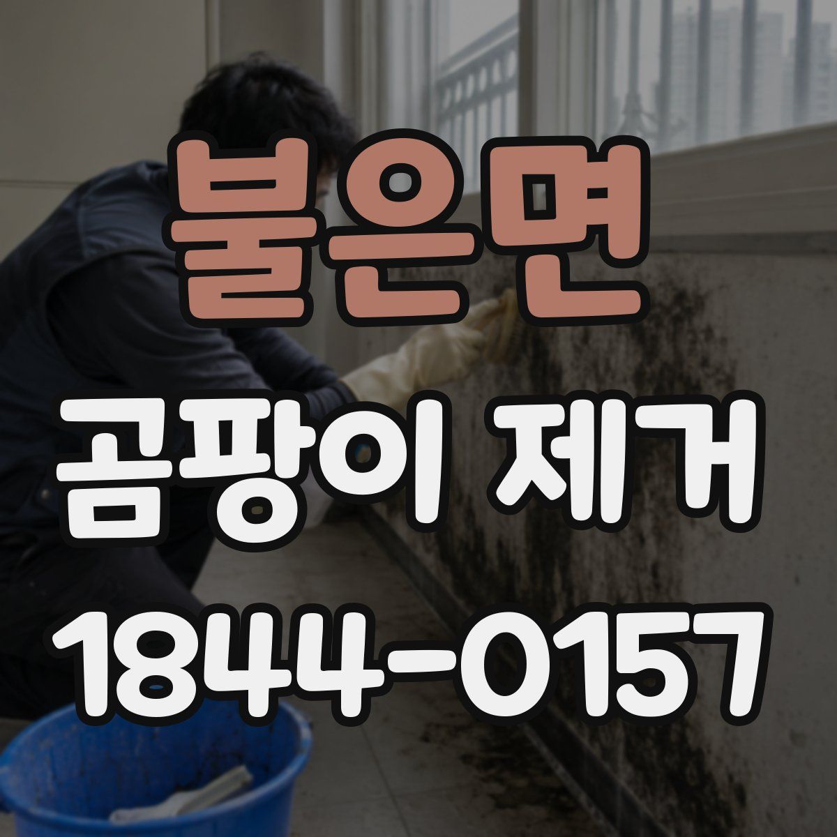 불은면 곰팡이 제거