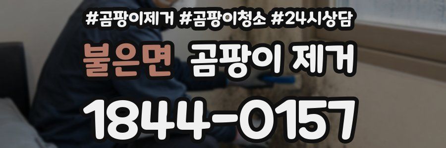 불은면 곰팡이 제거