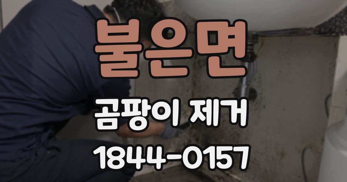 불은면 곰팡이 제거
