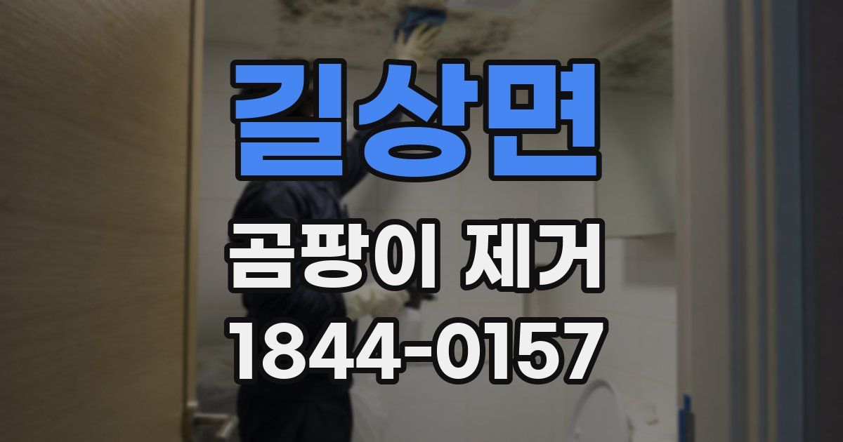길상면 곰팡이 제거
