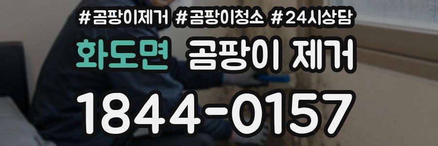 화도면 곰팡이 제거