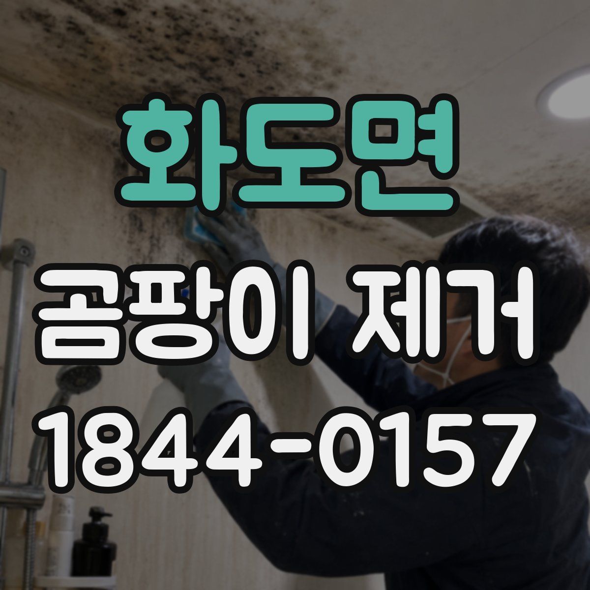 화도면 곰팡이 제거