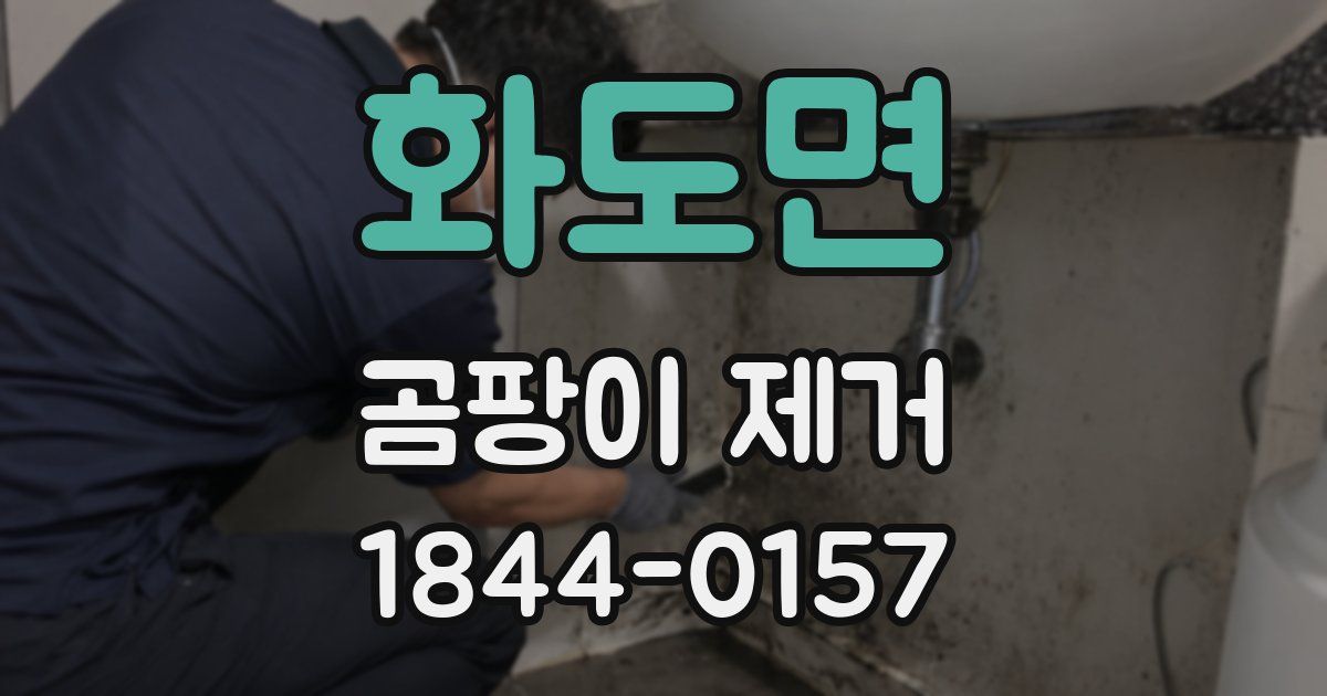 화도면 곰팡이 제거