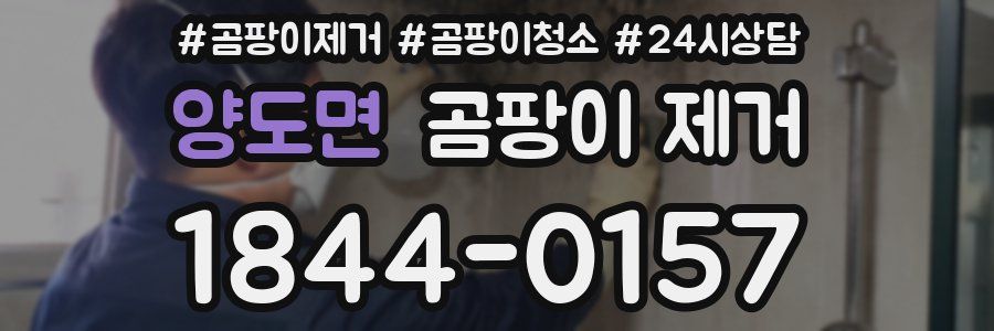 양도면 곰팡이 제거