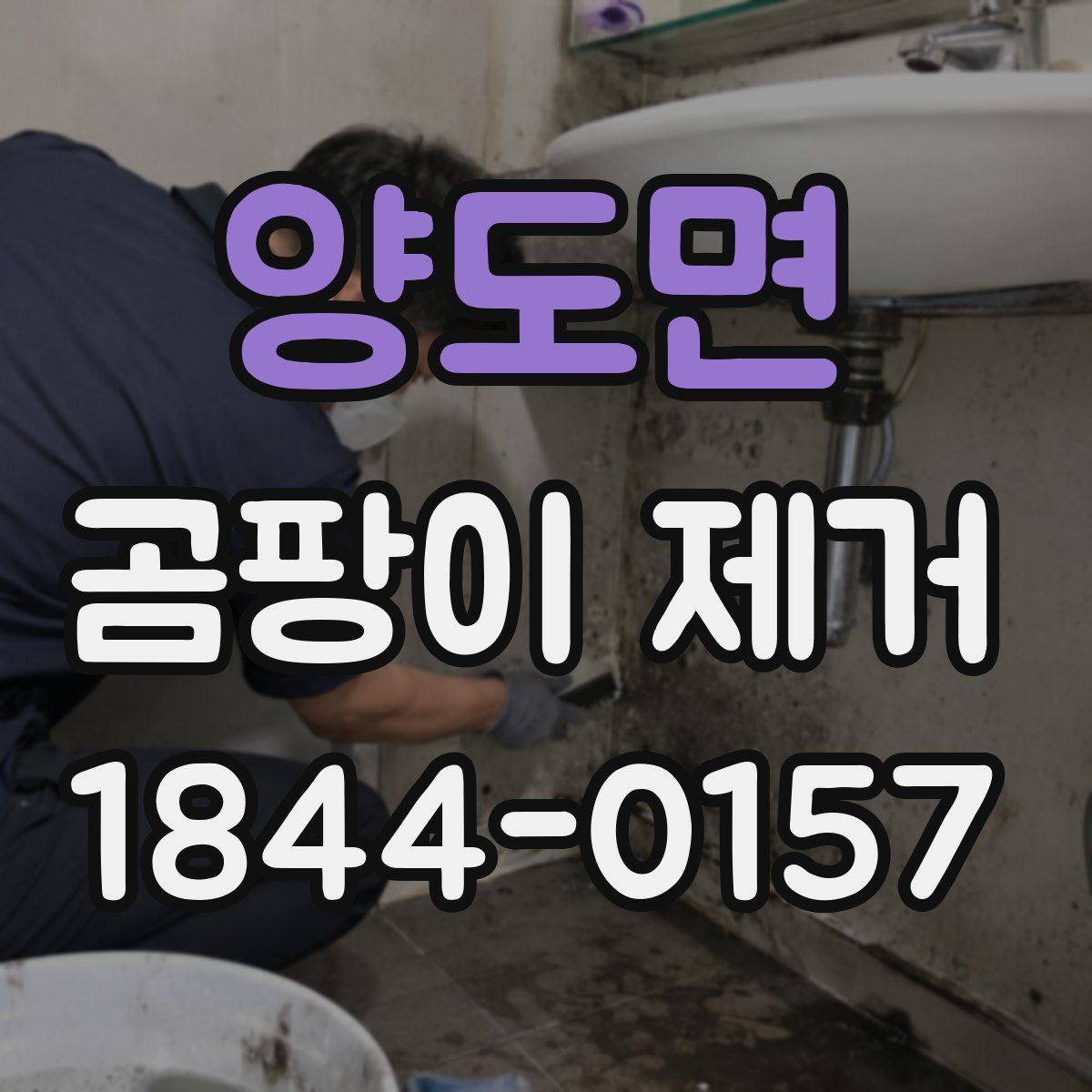 양도면 곰팡이 제거