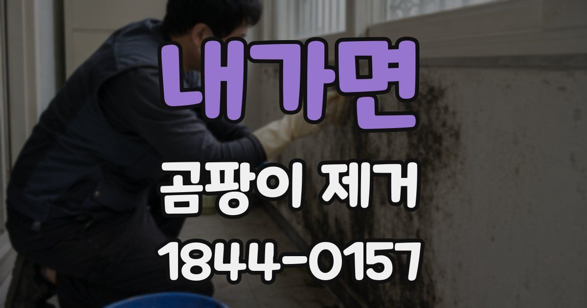 내가면 곰팡이 제거