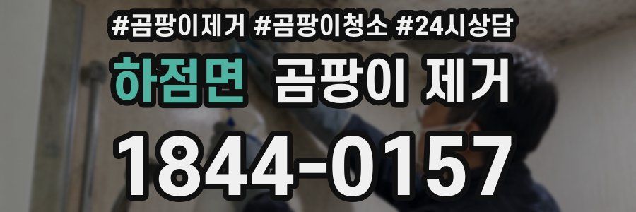 하점면 곰팡이 제거