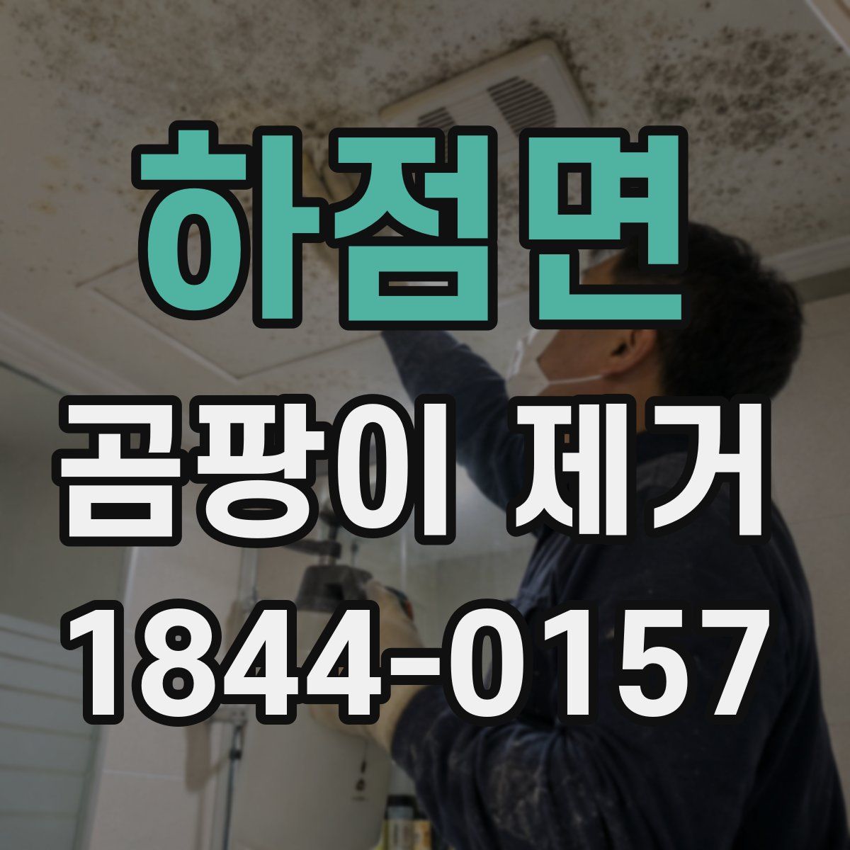하점면 곰팡이 제거