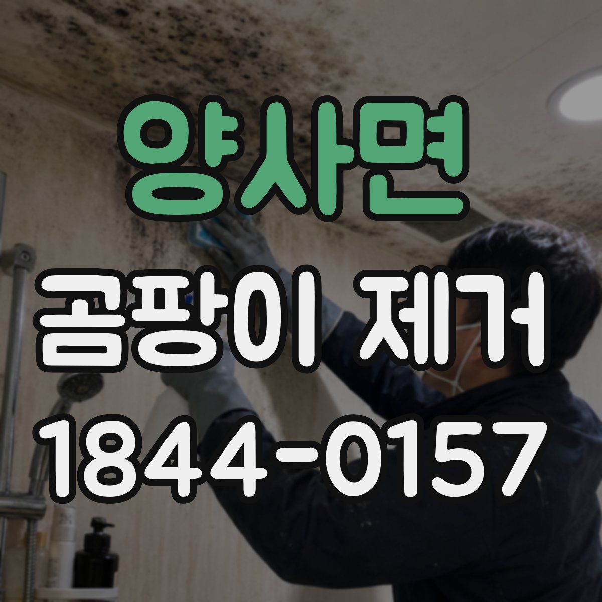 양사면 곰팡이 제거