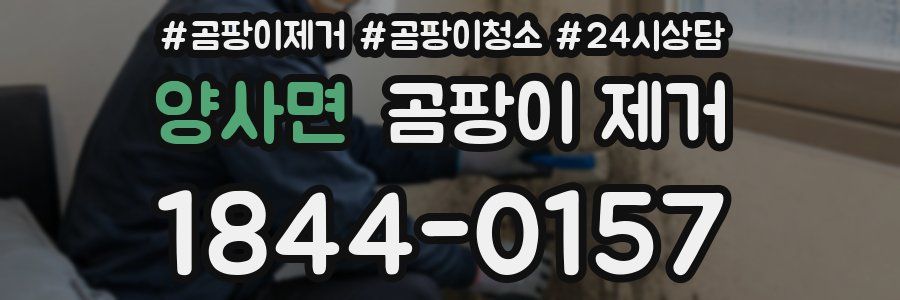 양사면 곰팡이 제거