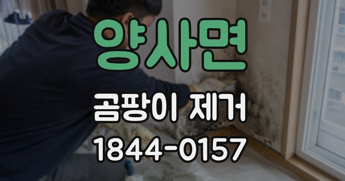 양사면 곰팡이 제거