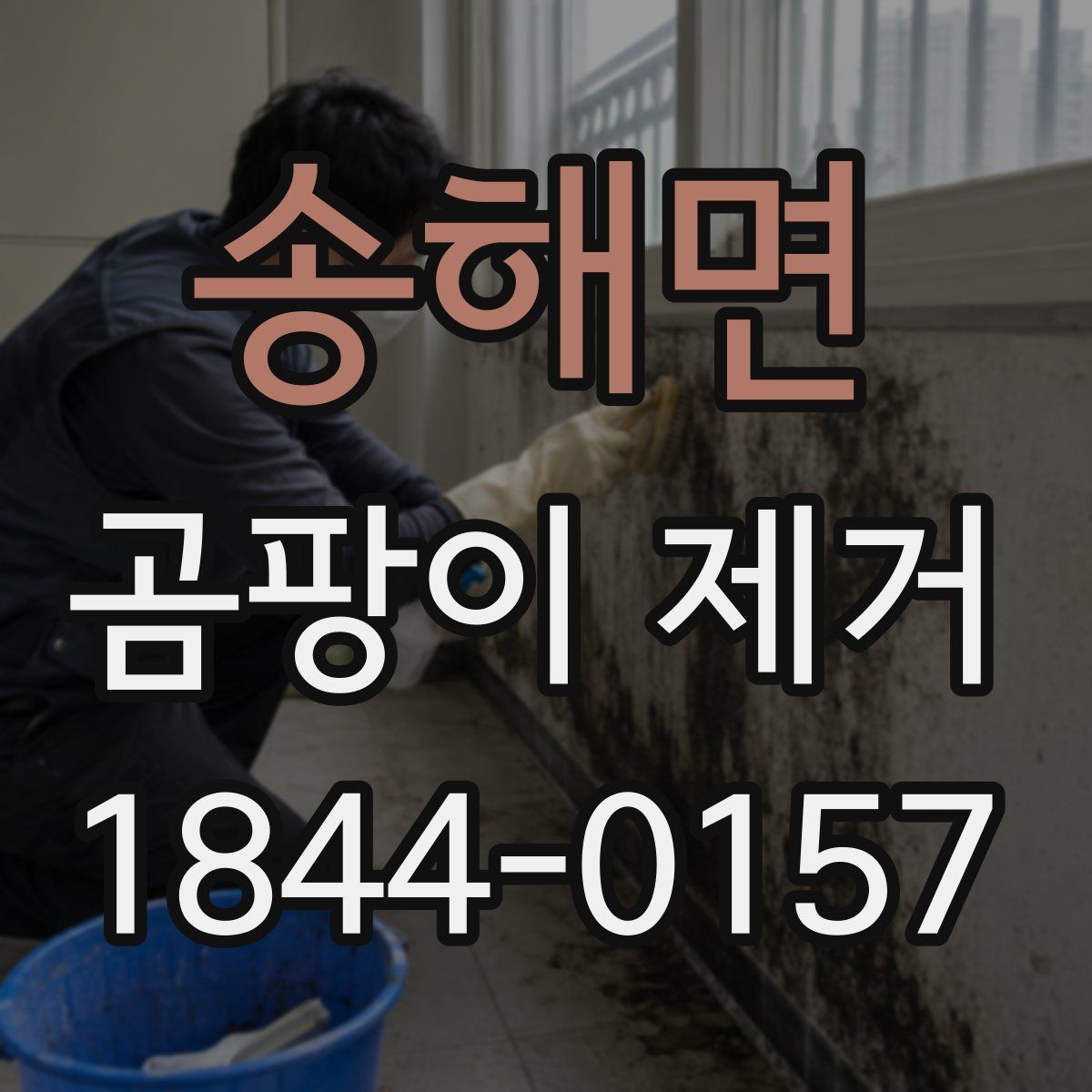 송해면 곰팡이 제거