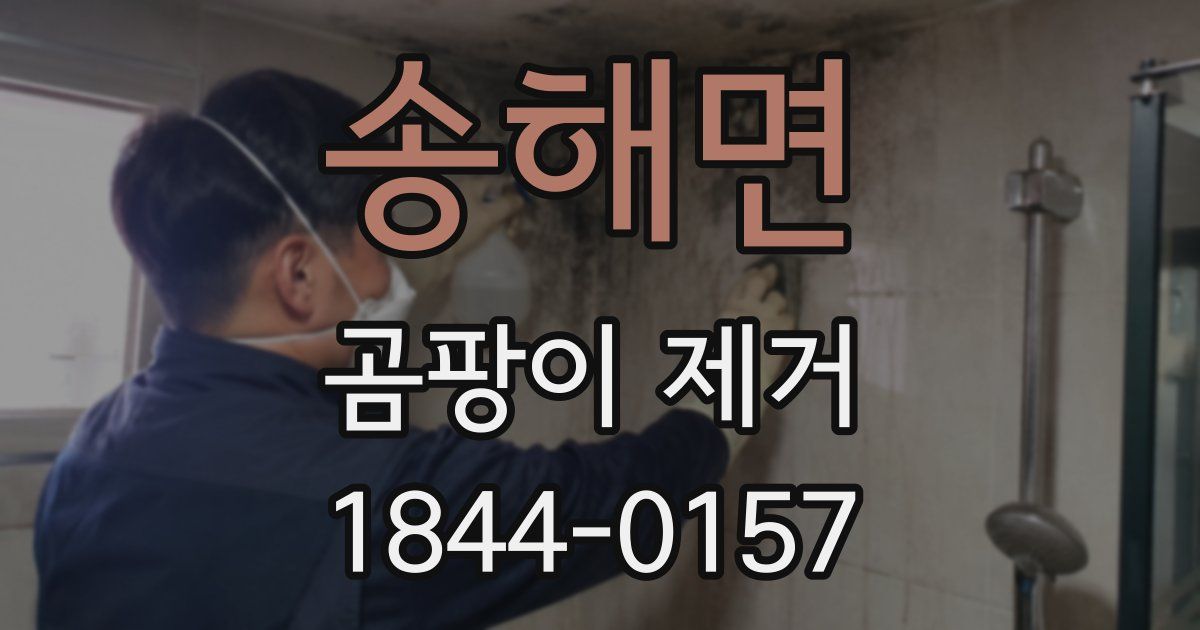 송해면 곰팡이 제거