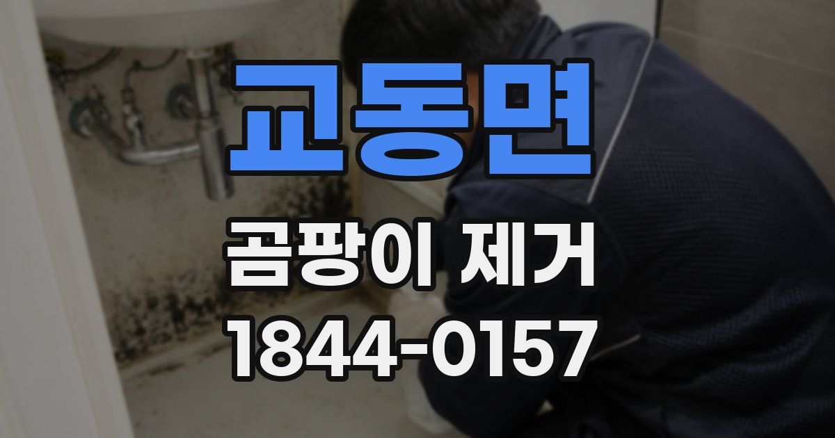 교동면 곰팡이 제거