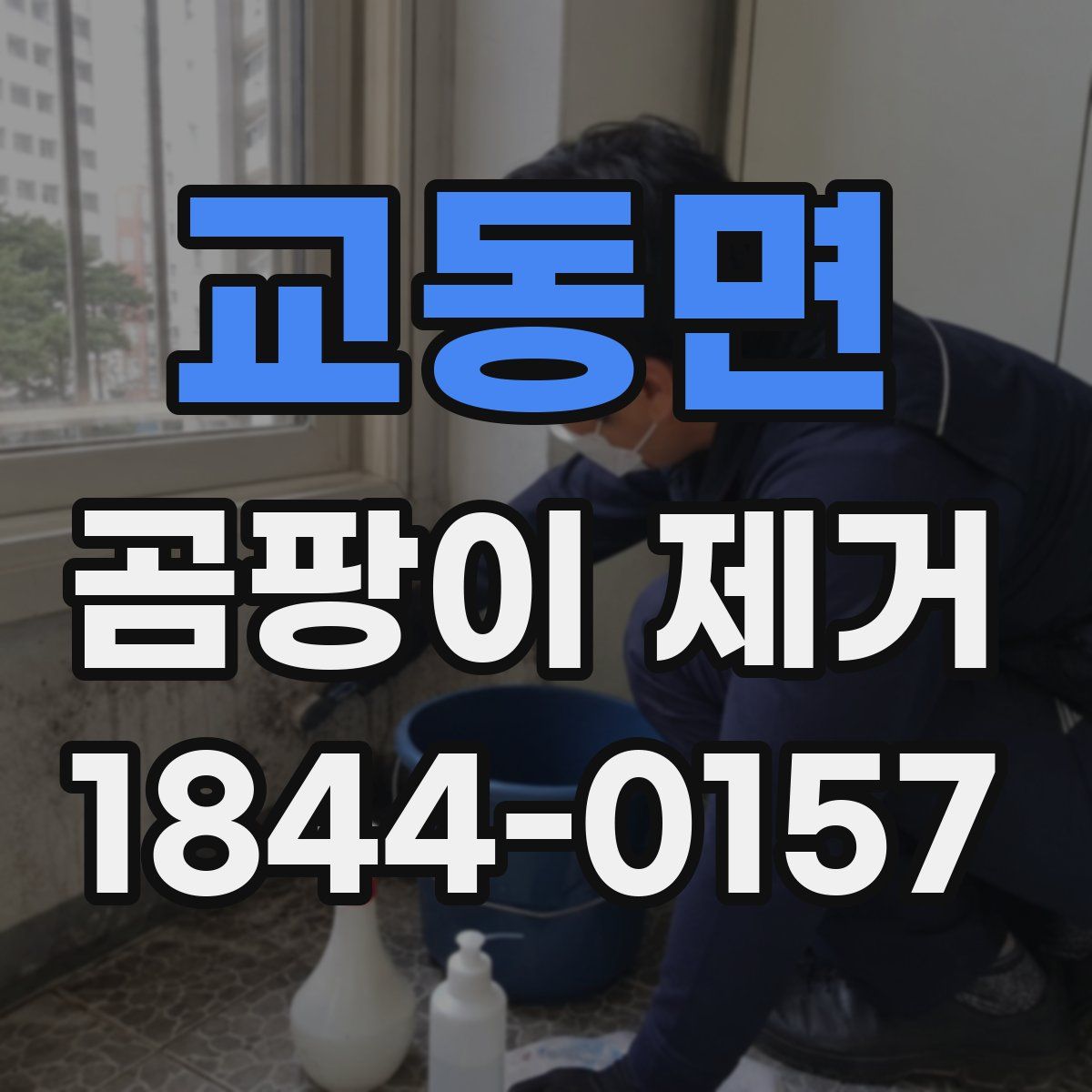 교동면 곰팡이 제거