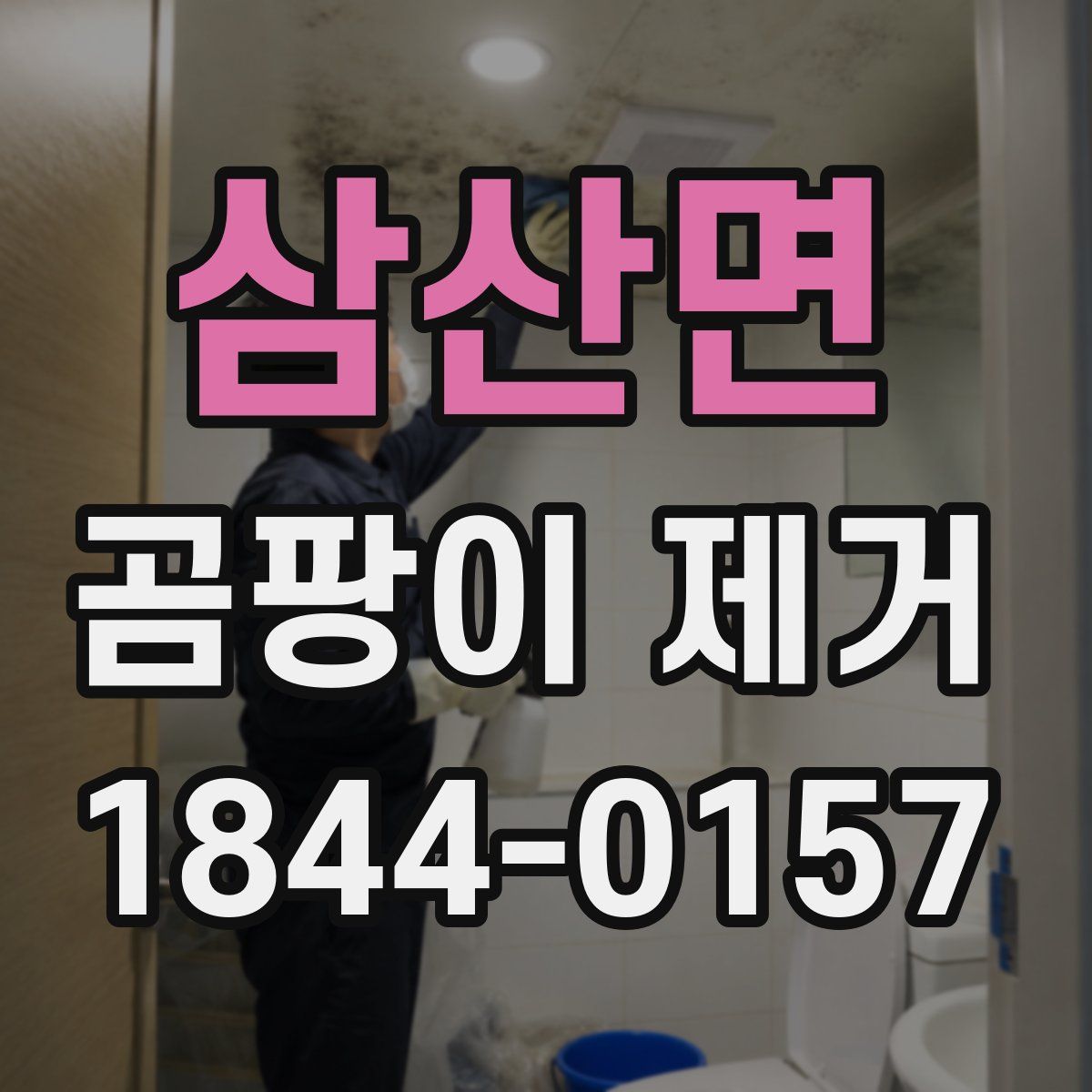 삼산면 곰팡이 제거
