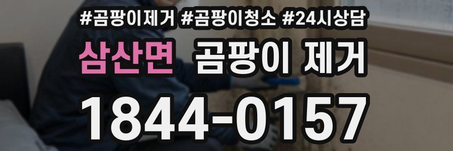 삼산면 곰팡이 제거