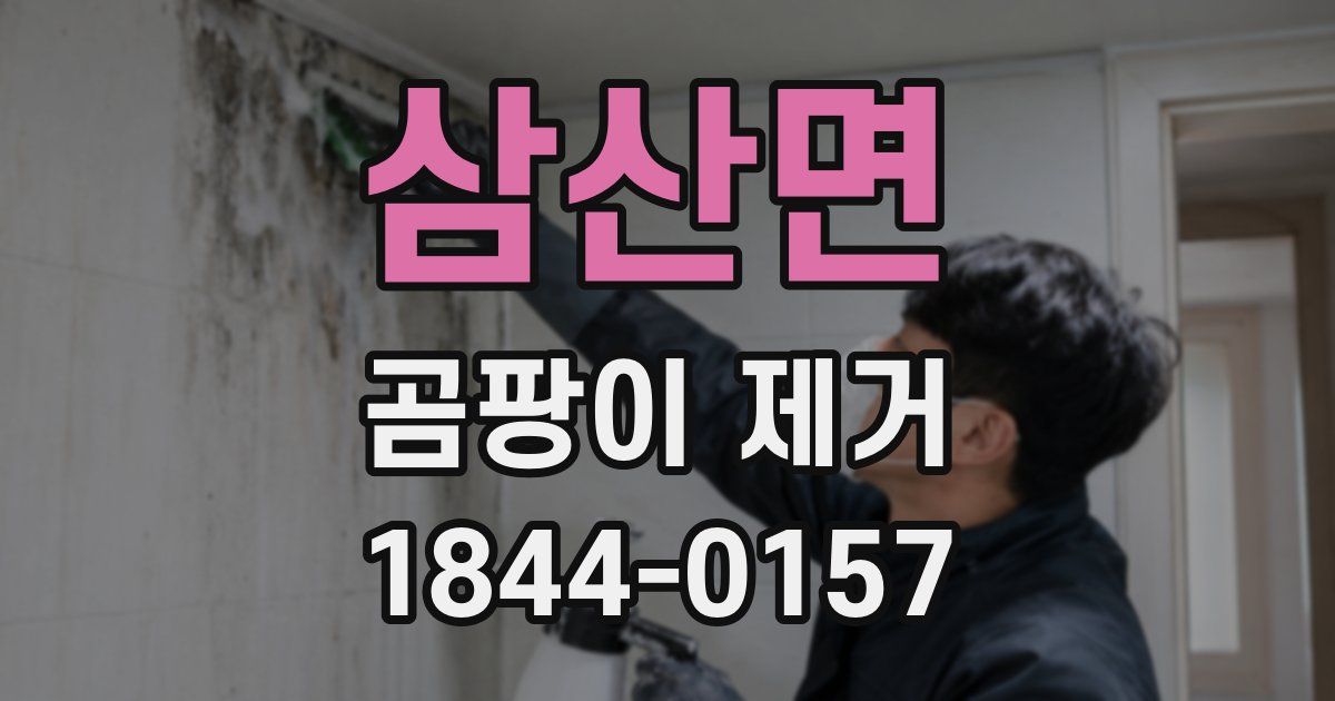 삼산면 곰팡이 제거