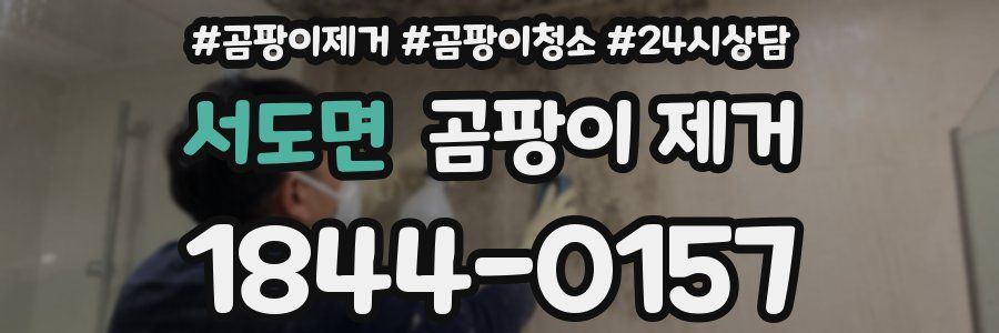 서도면 곰팡이 제거
