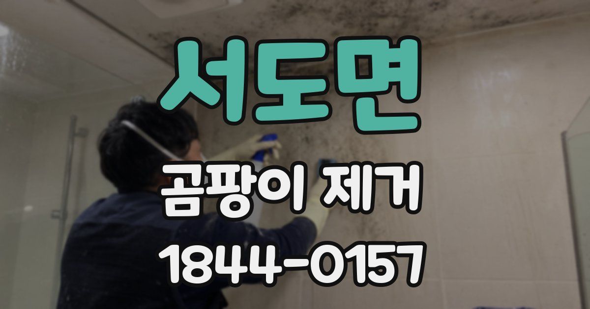 서도면 곰팡이 제거