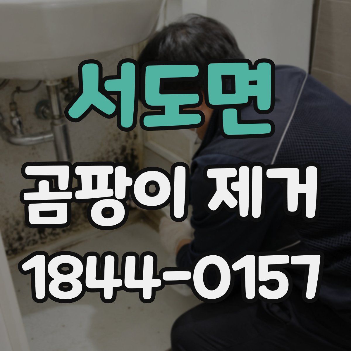 서도면 곰팡이 제거