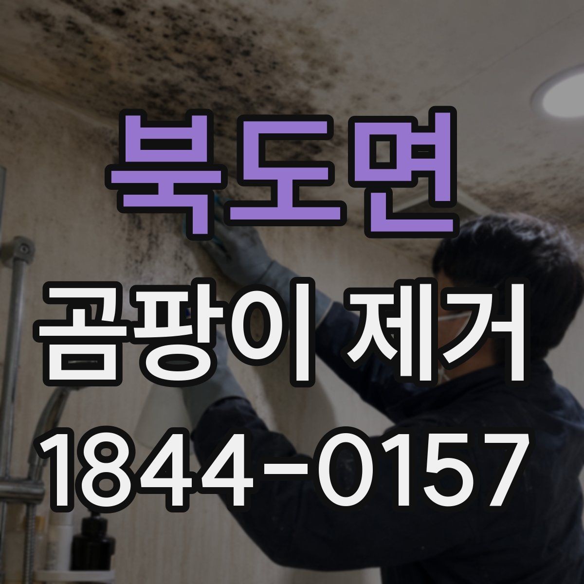 북도면 곰팡이 제거 벽지 얼룩 남기지 않으려면 알아둘 점