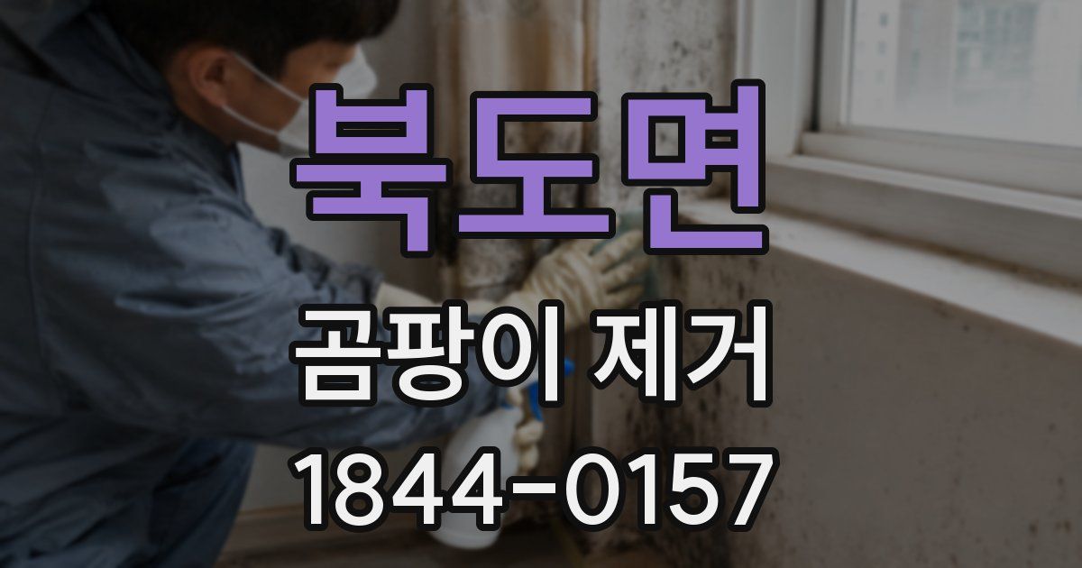 북도면 곰팡이 제거