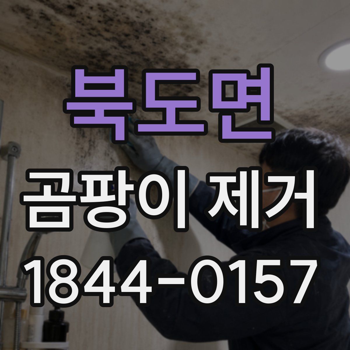 북도면 곰팡이 제거