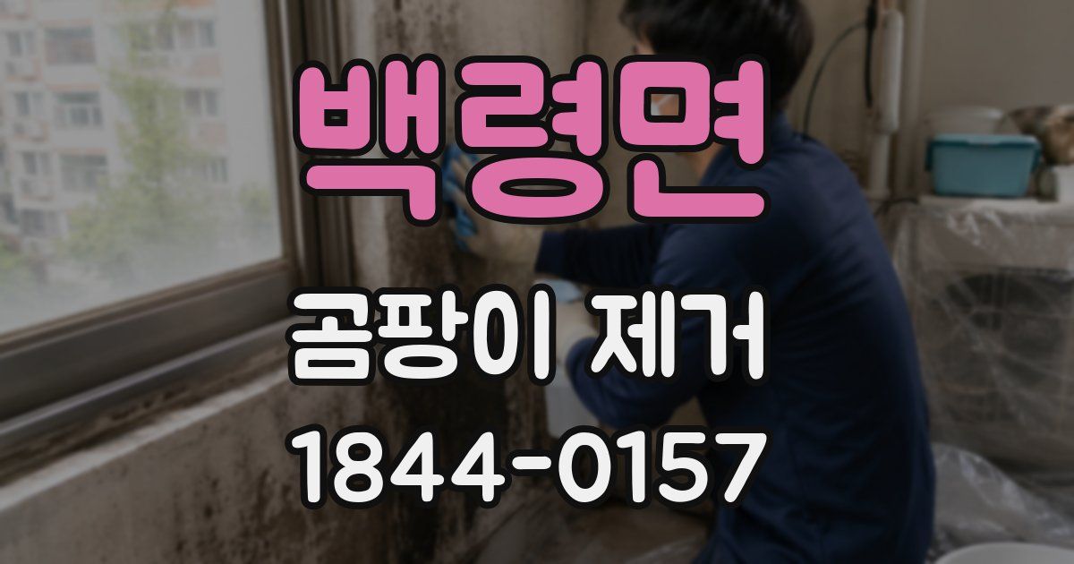 백령면 곰팡이 제거