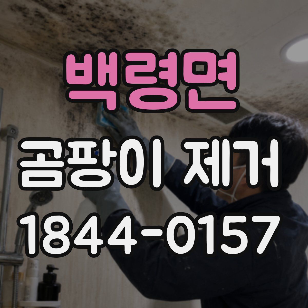 백령면 곰팡이 제거