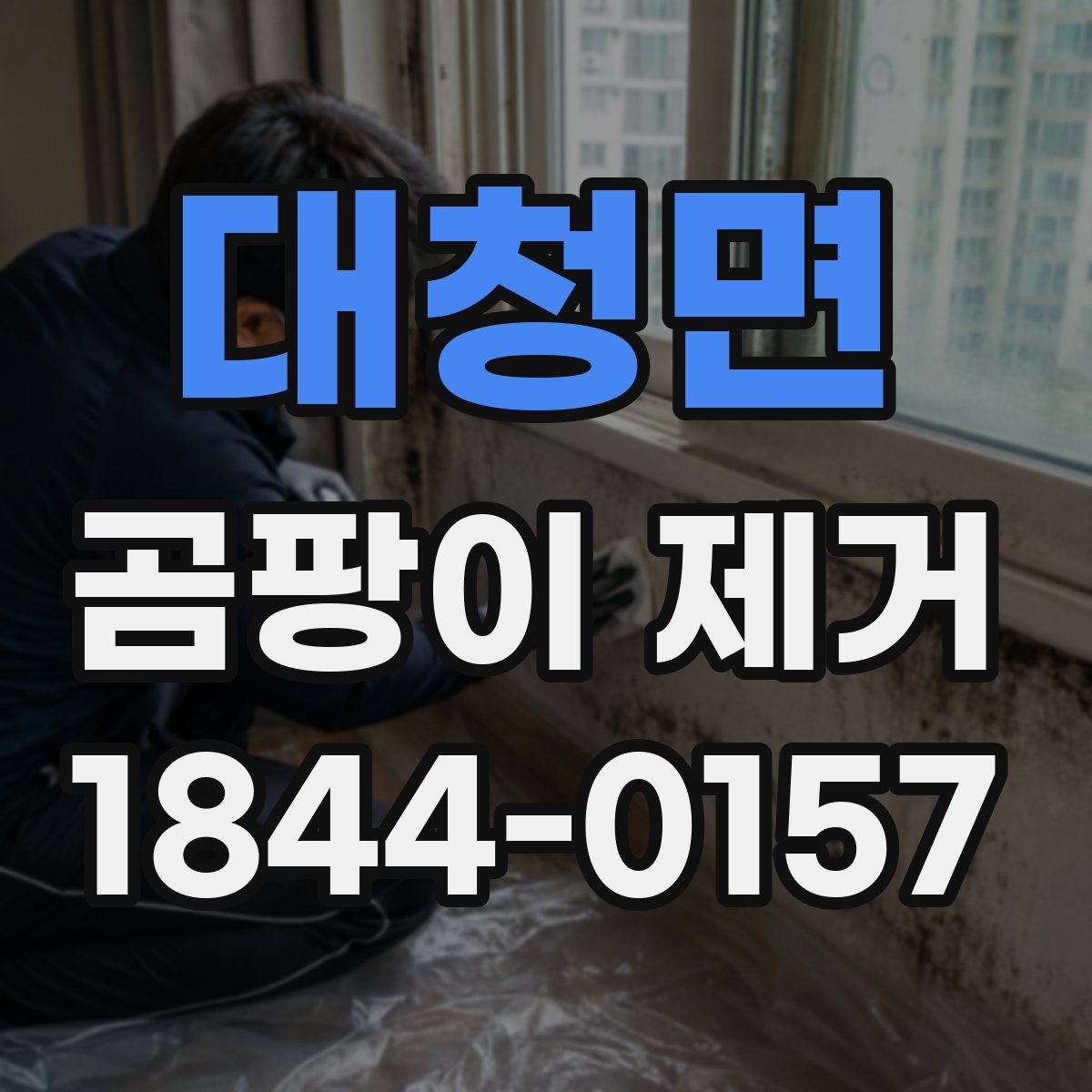 대청면 곰팡이 제거