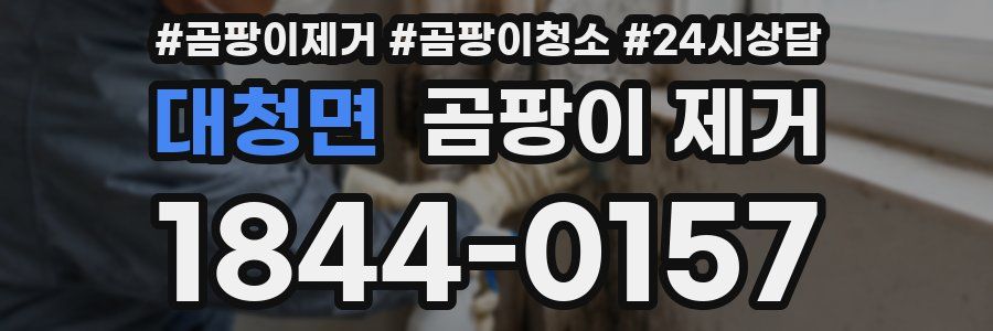 대청면 곰팡이 제거