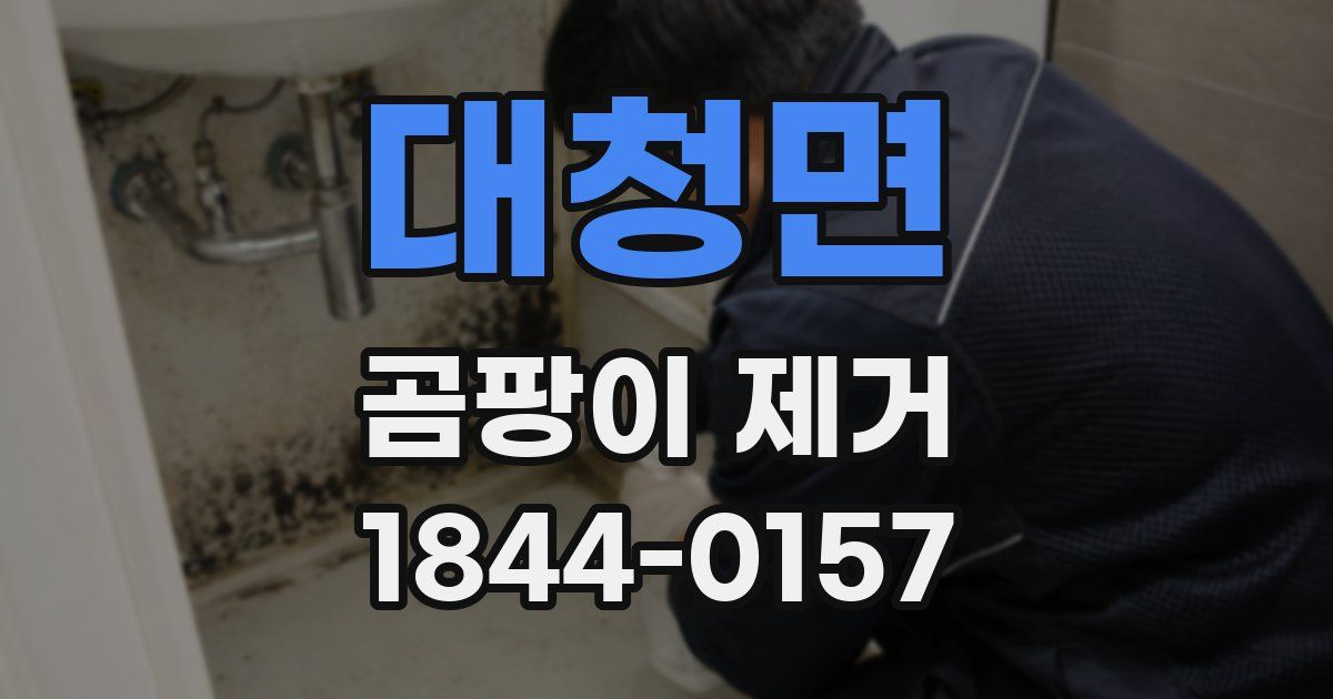 대청면 곰팡이 제거