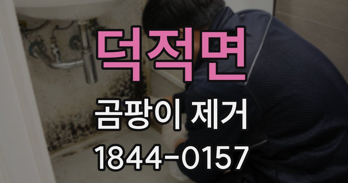 덕적면 곰팡이 제거