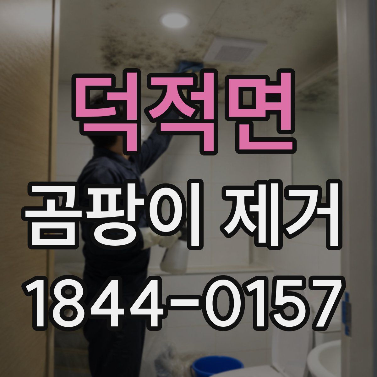 덕적면 곰팡이 제거