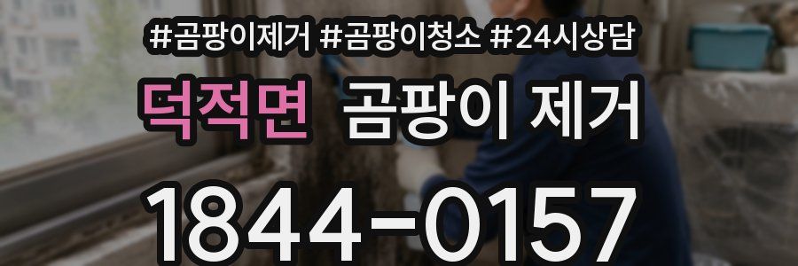 덕적면 곰팡이 제거